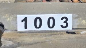 Painted curb address number 1003 in black on a white background, Los Angeles