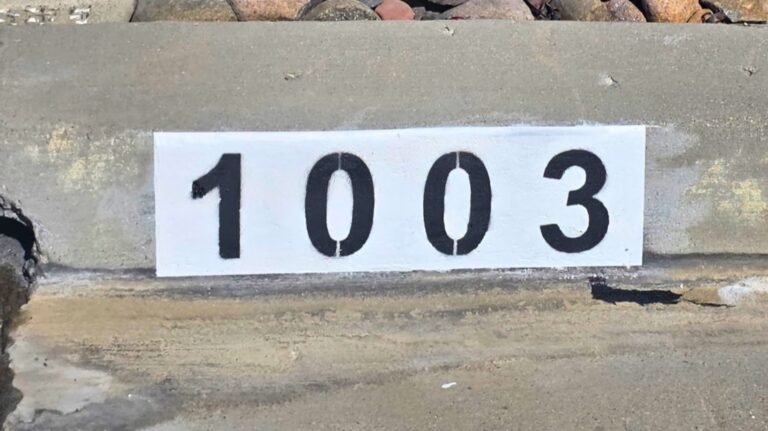 Painted curb address number 1003 in black on a white background, Los Angeles