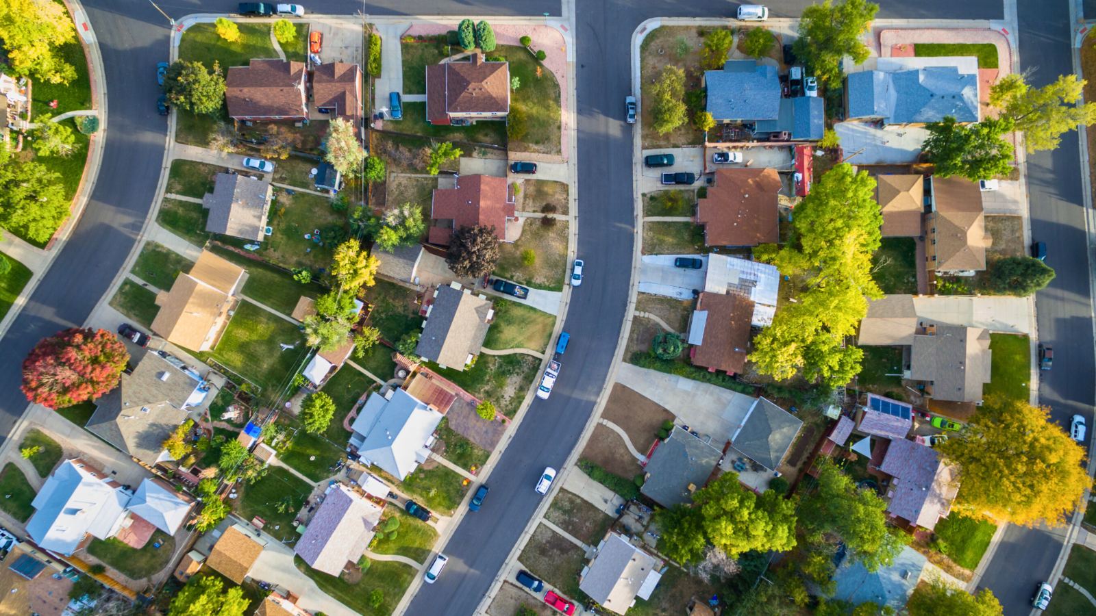 Aerial view of a Los Angeles neighborhood with homes and tree-lined streets
